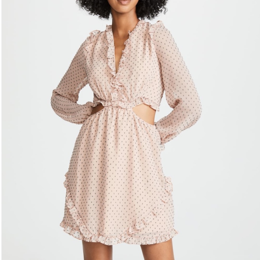 WAYF Blush Allegria Dress